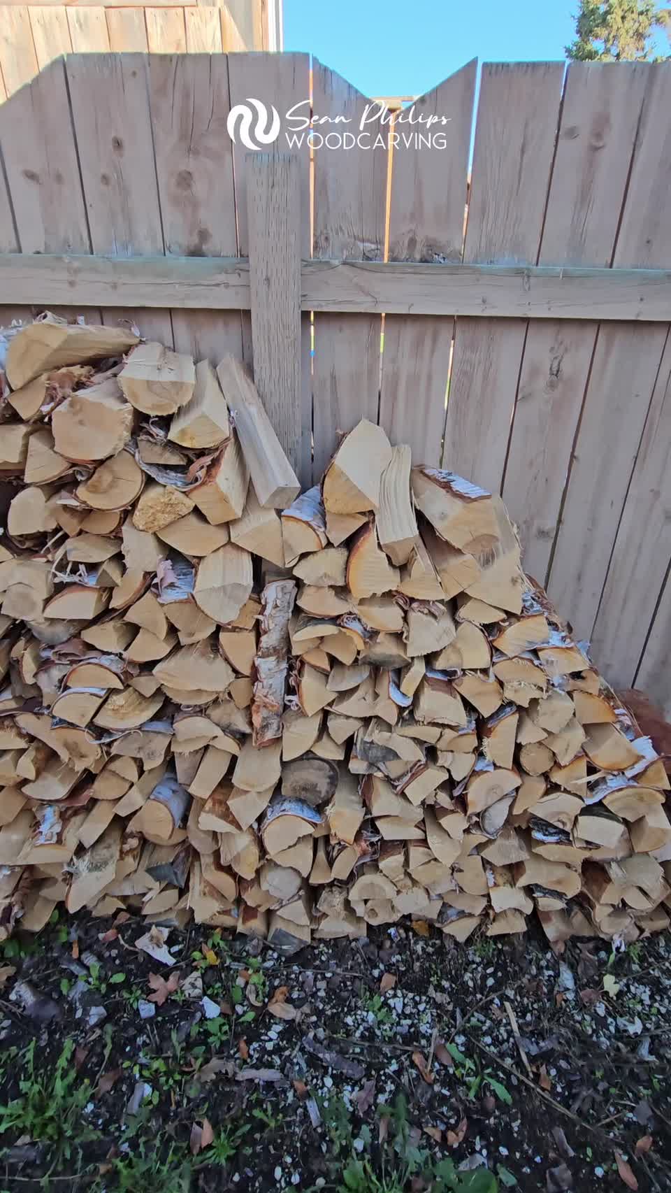 Carving Birch and Leather Bowl · October 2025