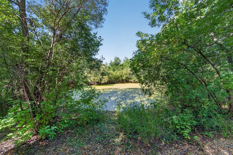 Photograph of the property