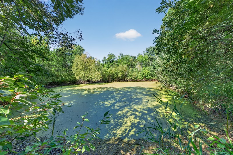 Photograph of the property