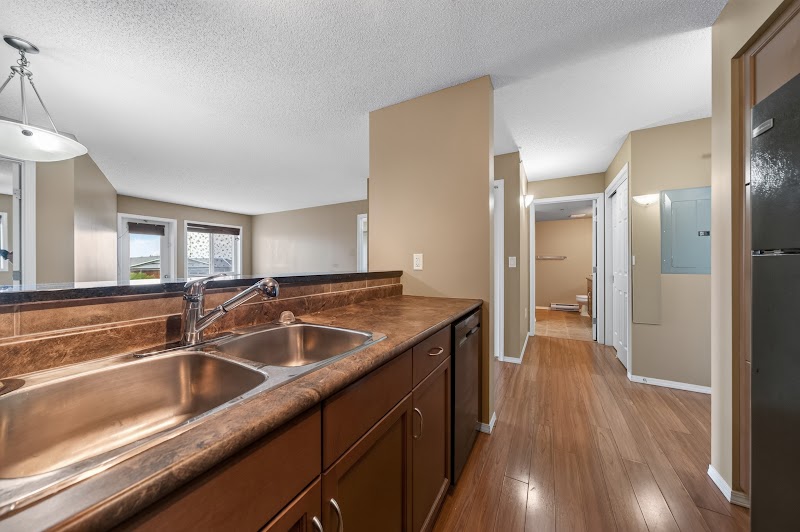 The kitchen
