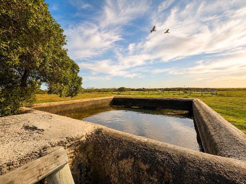 Farm dam