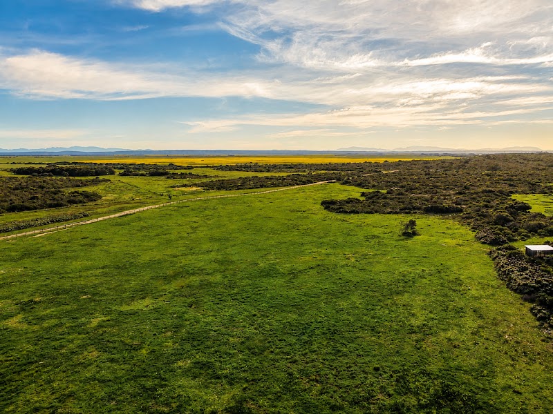 Open land and fynbos from the air