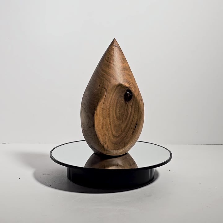 Rotating view