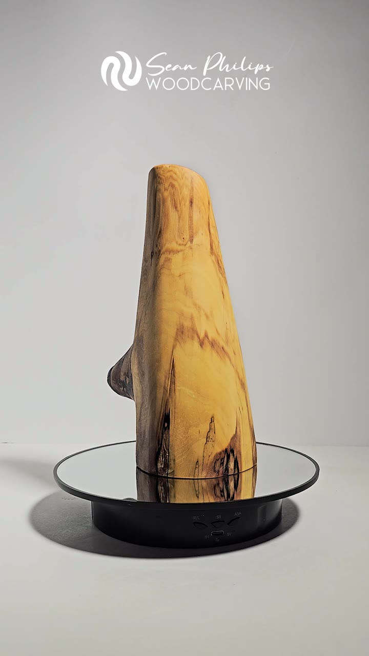 Rotating view