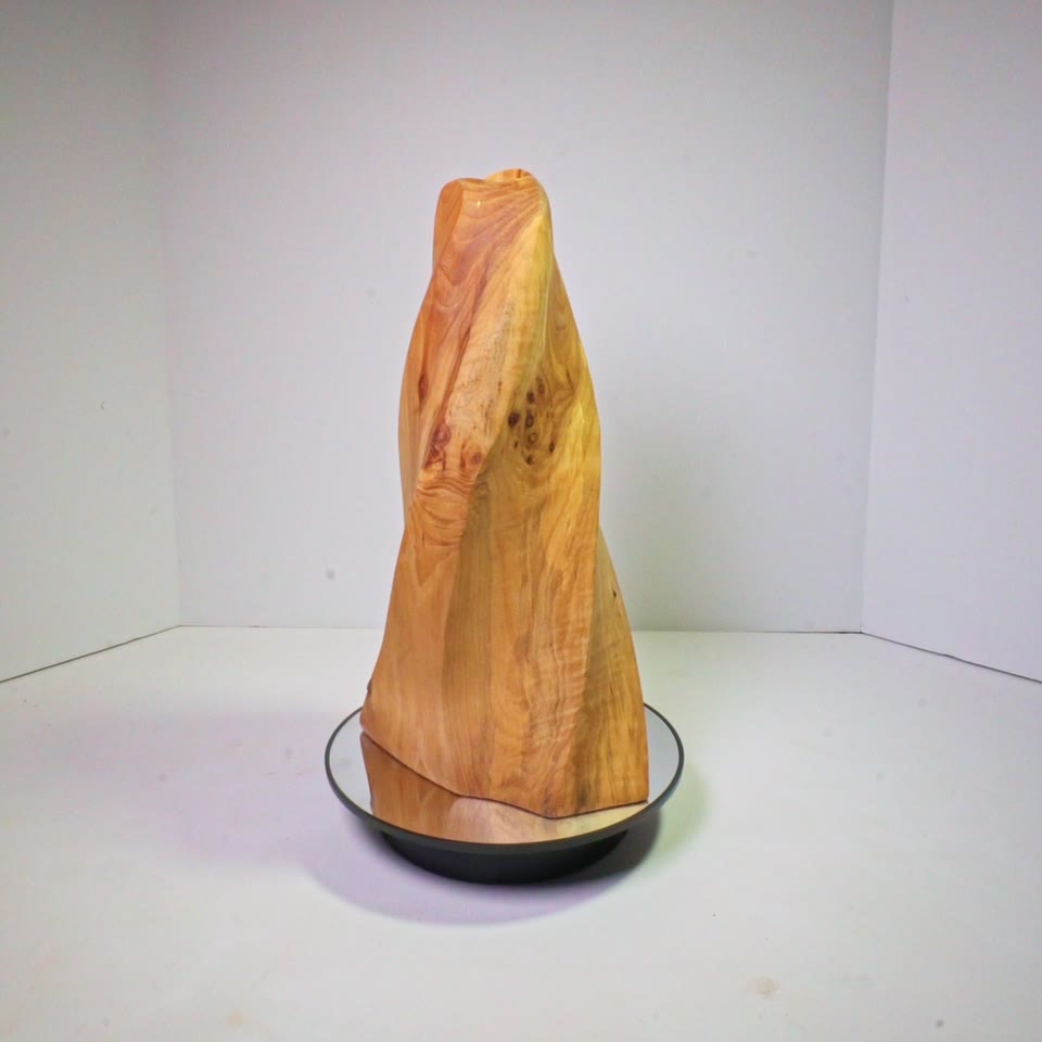 Rotating view