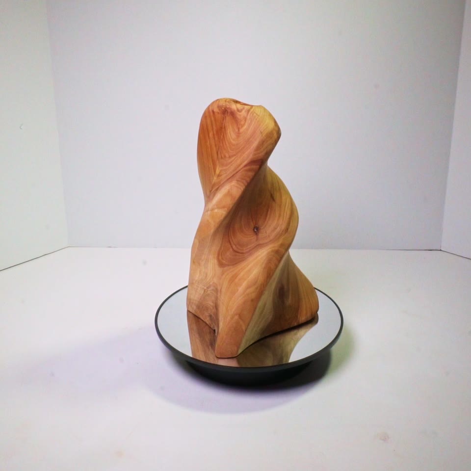 Rotating view