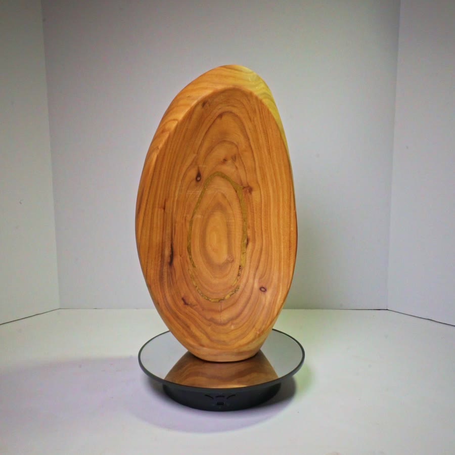 Rotating view
