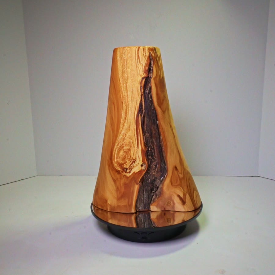 Rotating view