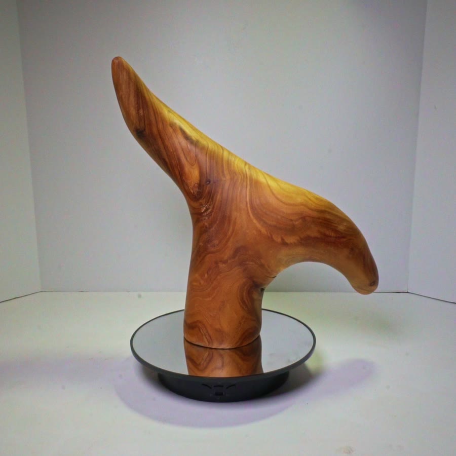 Rotating view