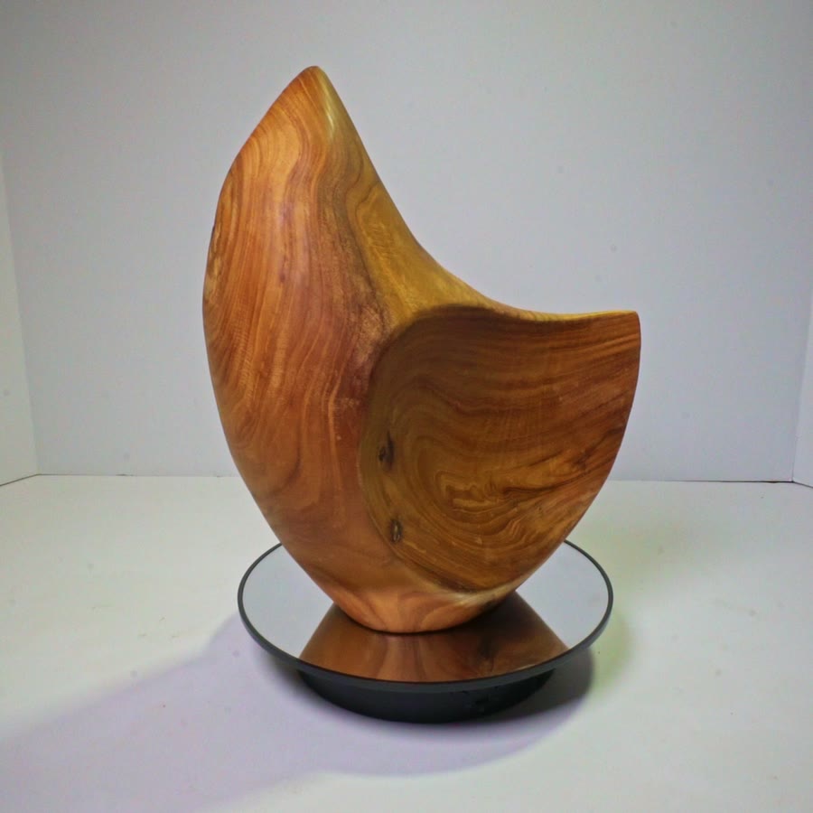 Rotating view