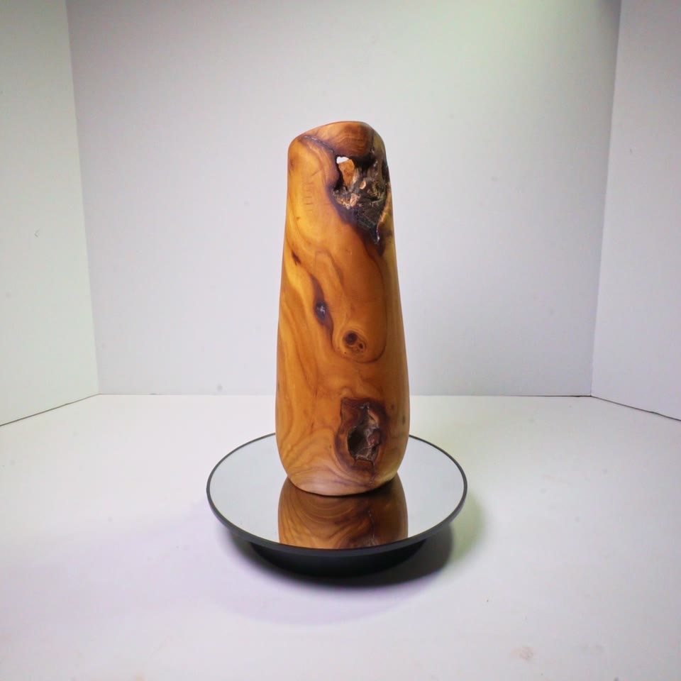 Rotating view