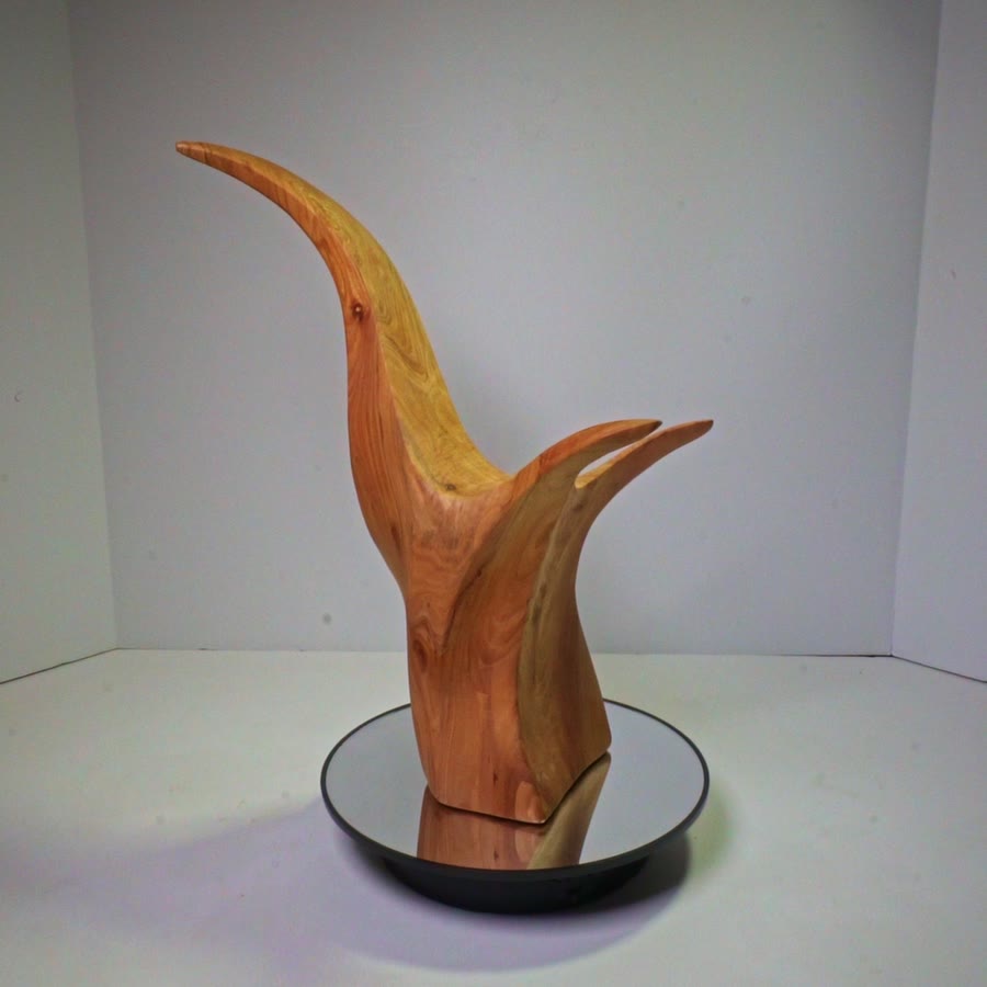 Rotating view