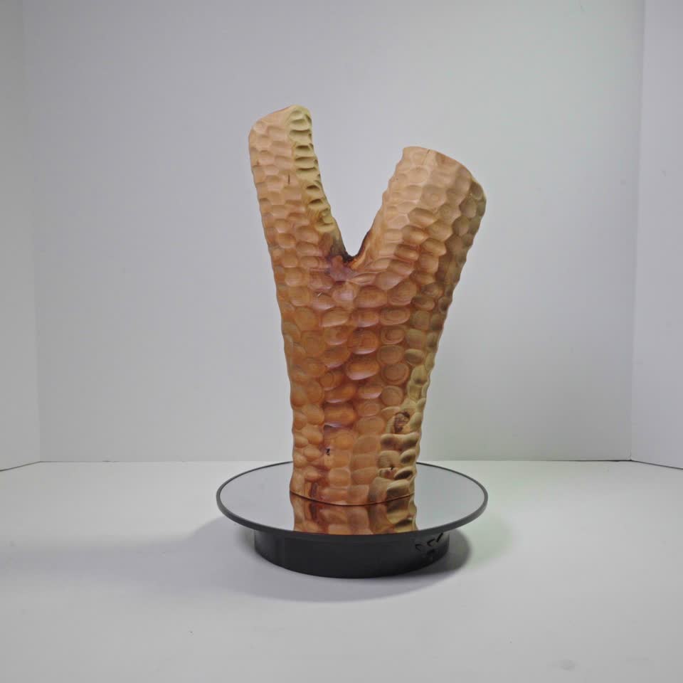 Rotating view