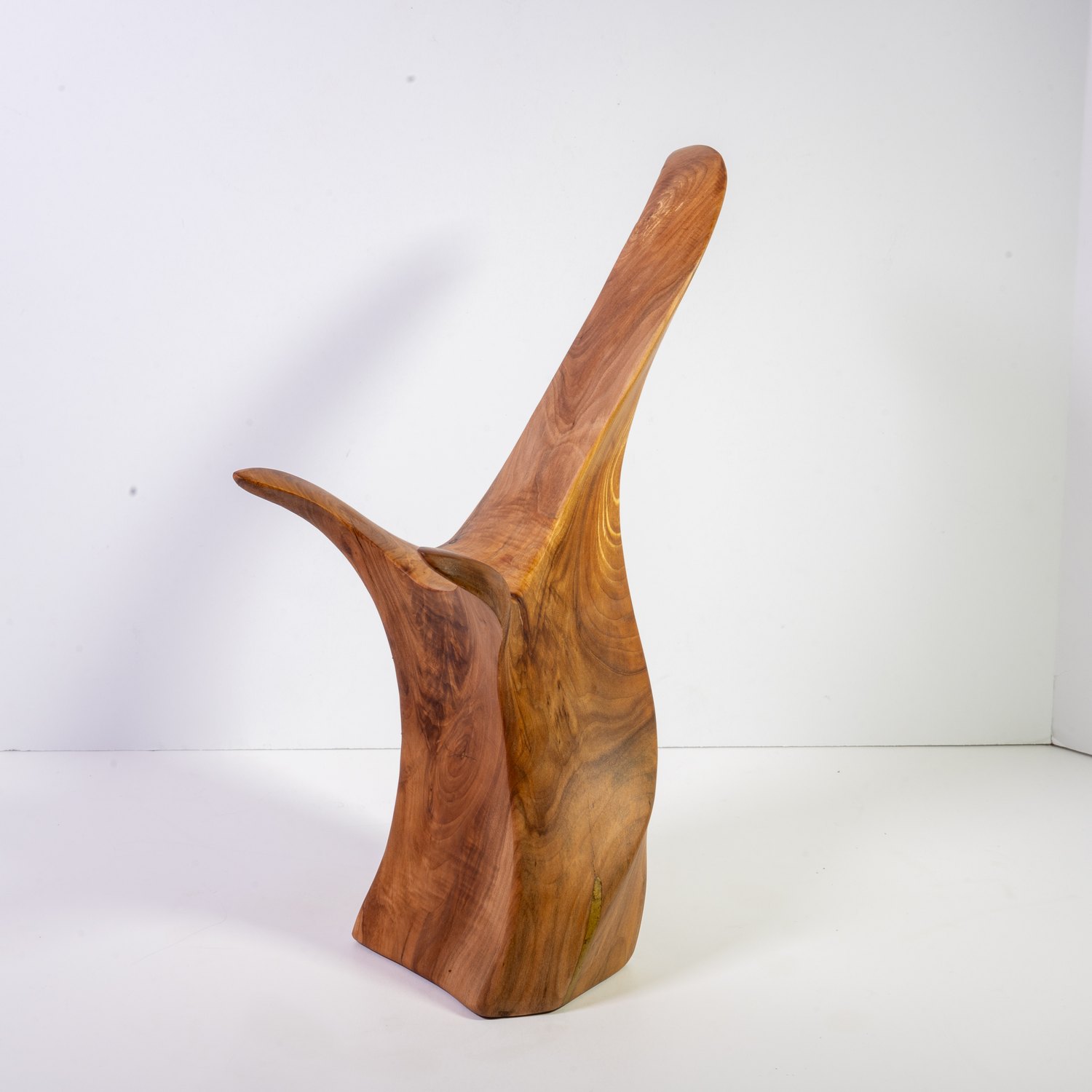 Apple Bird - St. Boniface - view 7