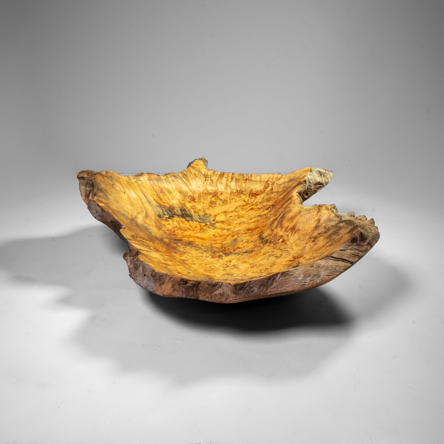 Manitoba Maple Burl - St. Boniface - 15"