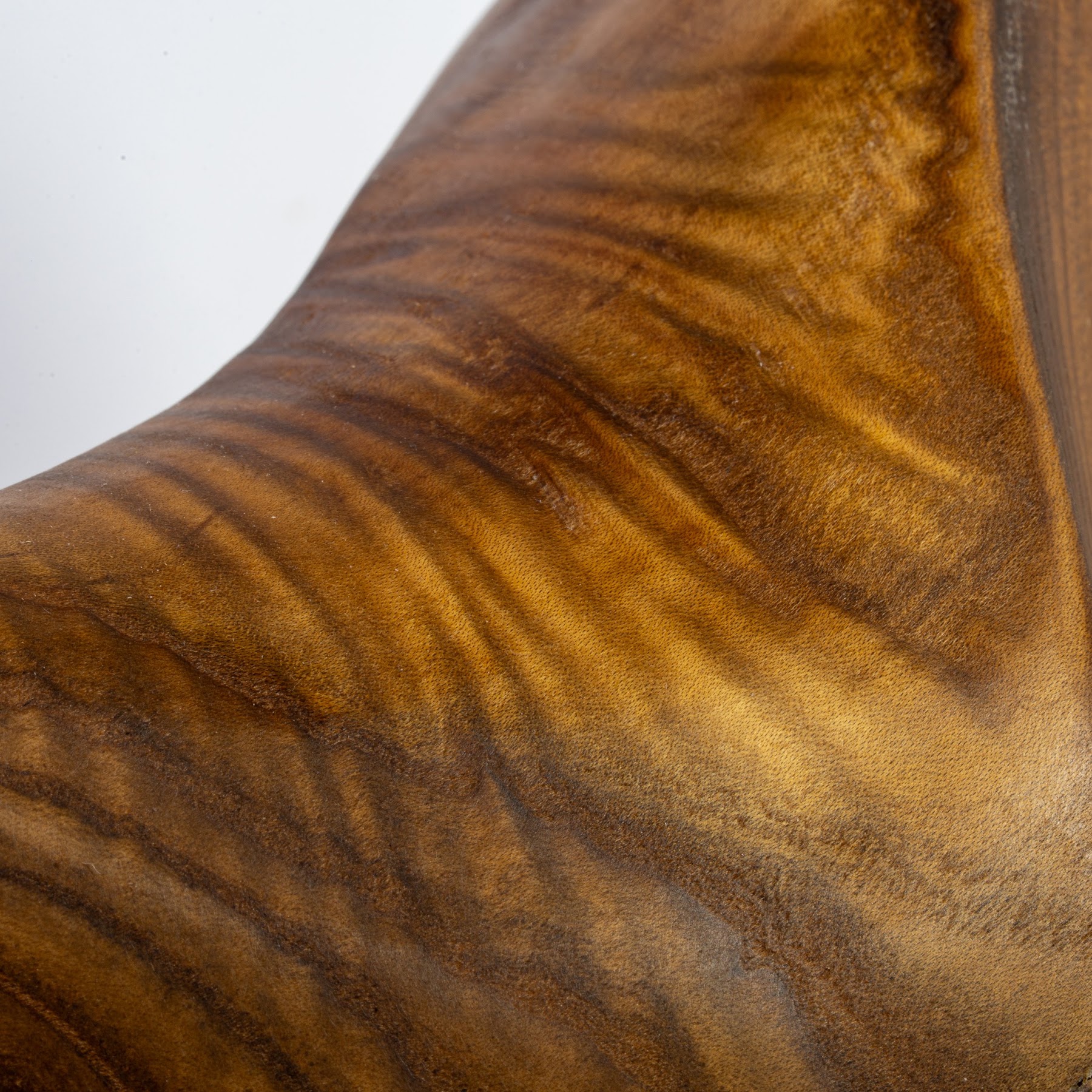 Russian Olive - North End - 14" view 7