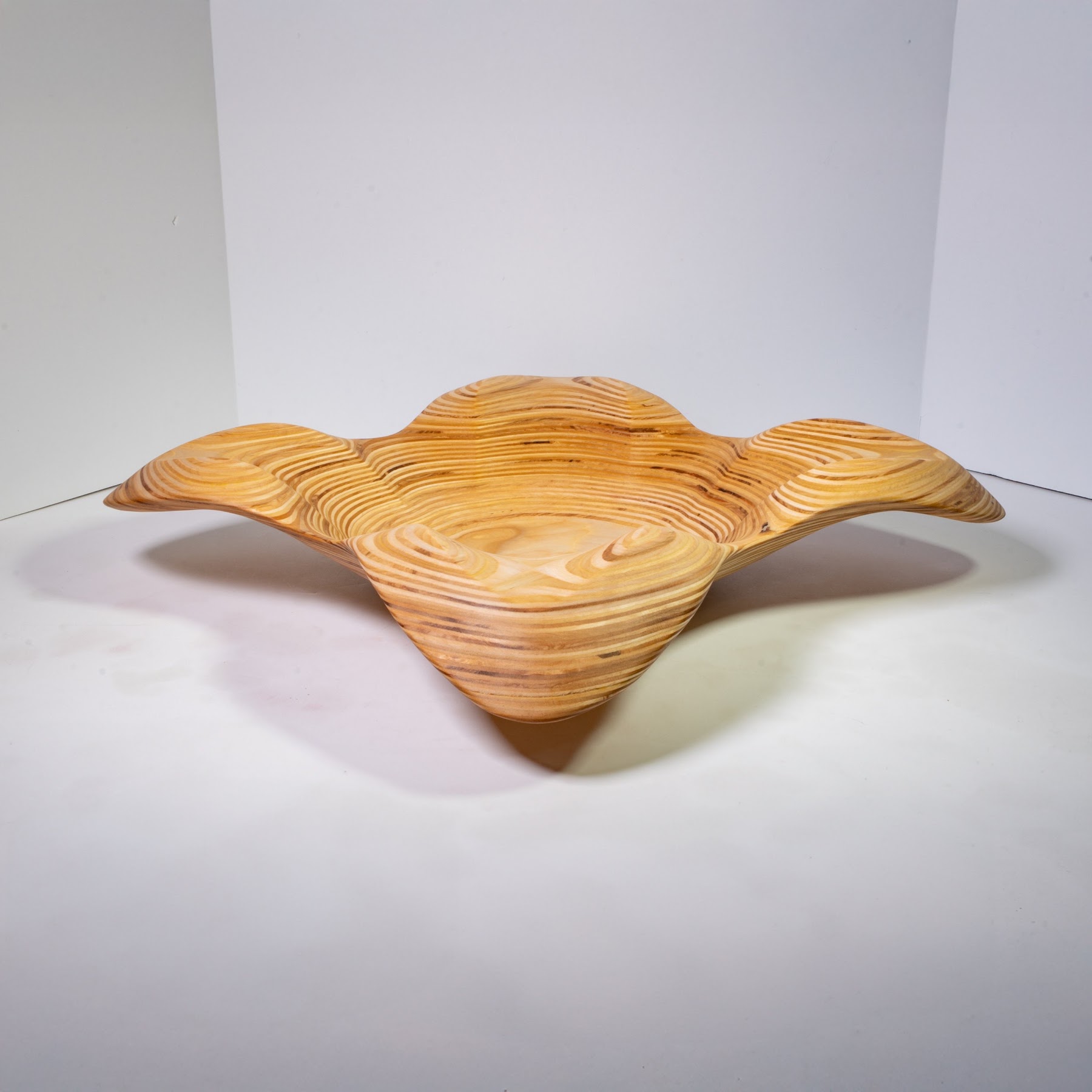 Birch Ply - 24 Inches. view 1