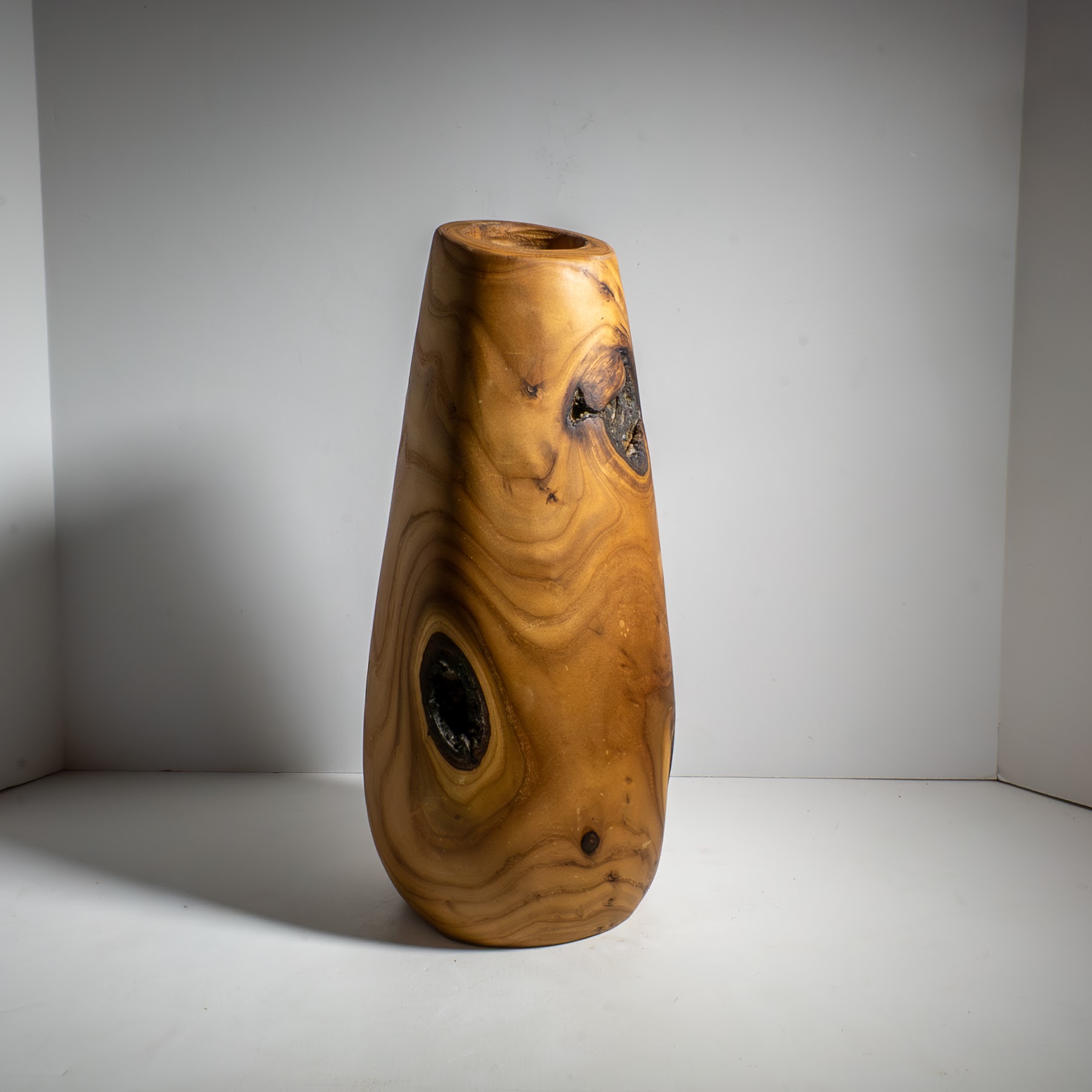 Russian Olive - North End - 15" view 5