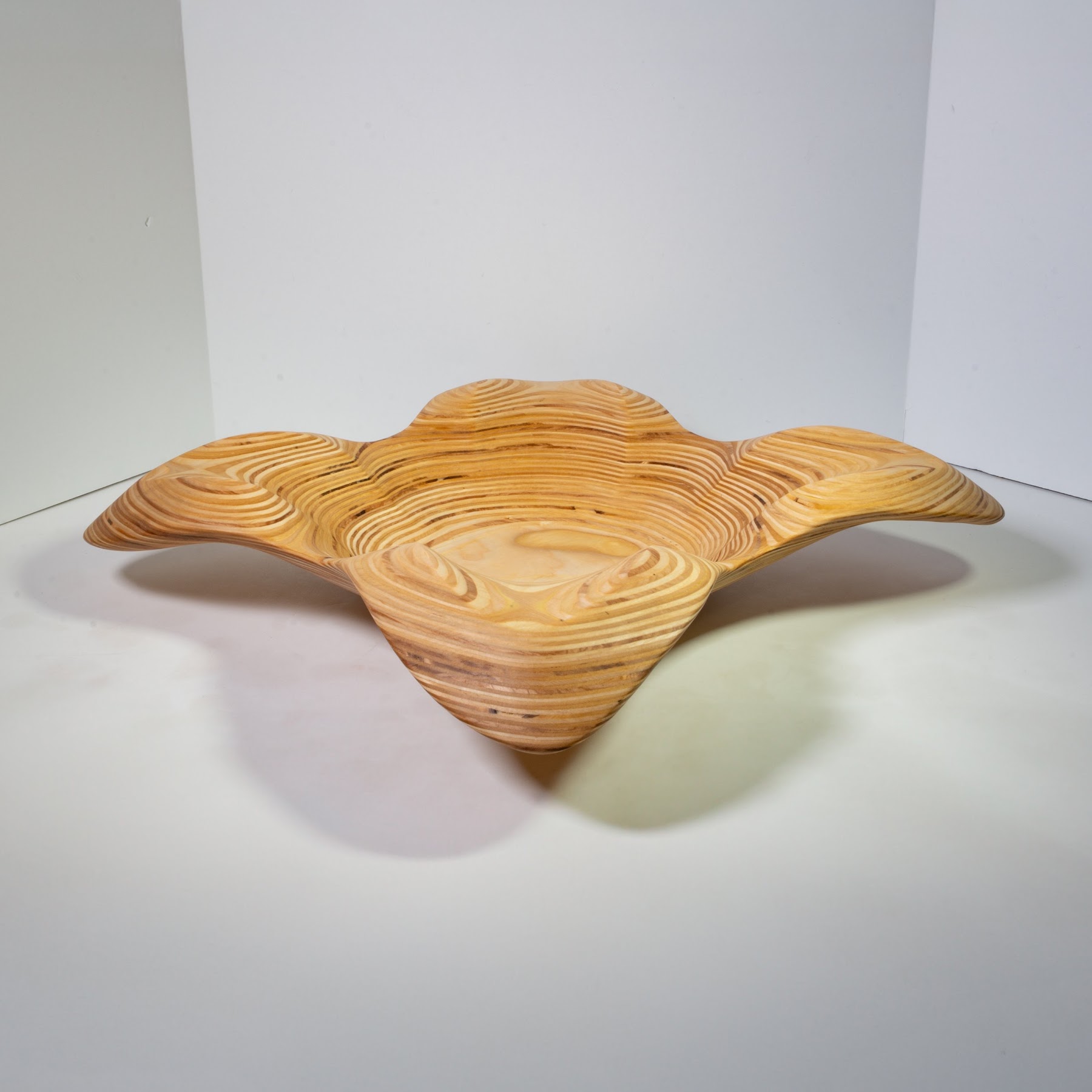 Birch Ply - 24 Inches. view 5