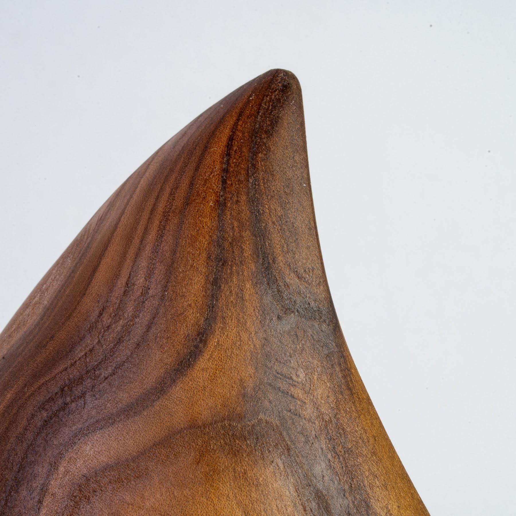 Russian Olive - North End - 14" view 8