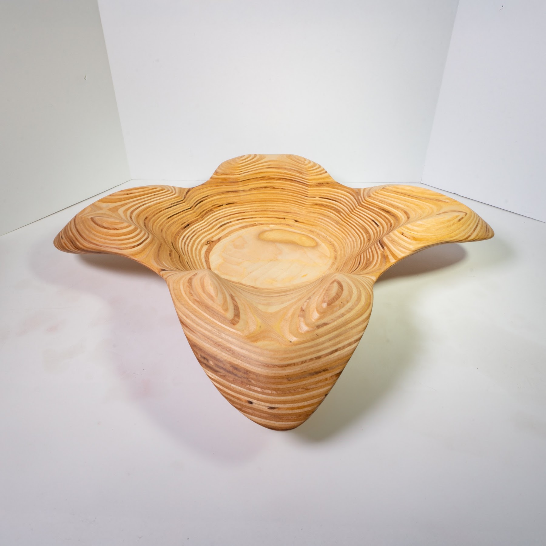 Birch Ply - 24 Inches. view 7