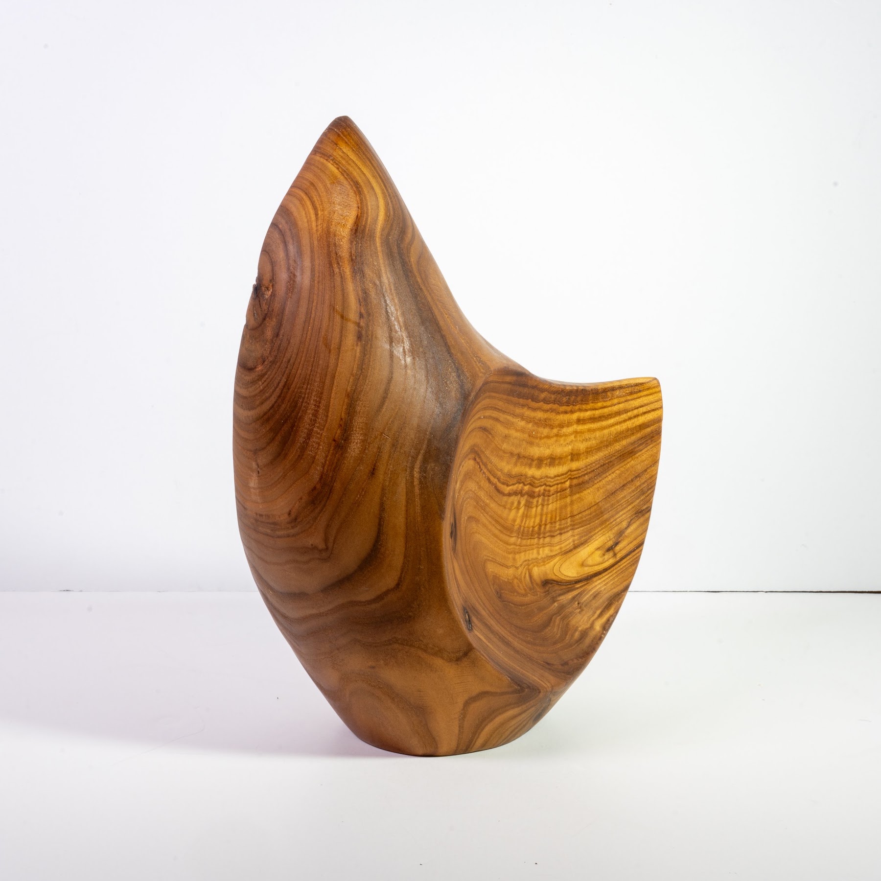 Russian Olive - North End - 14" view 3
