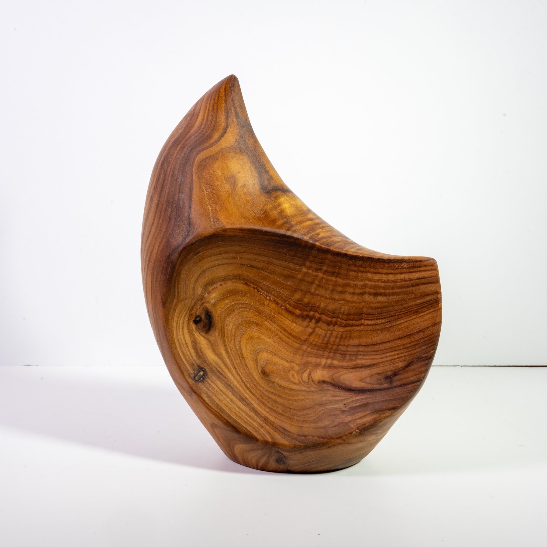 Russian Olive - North End - 14" view 1