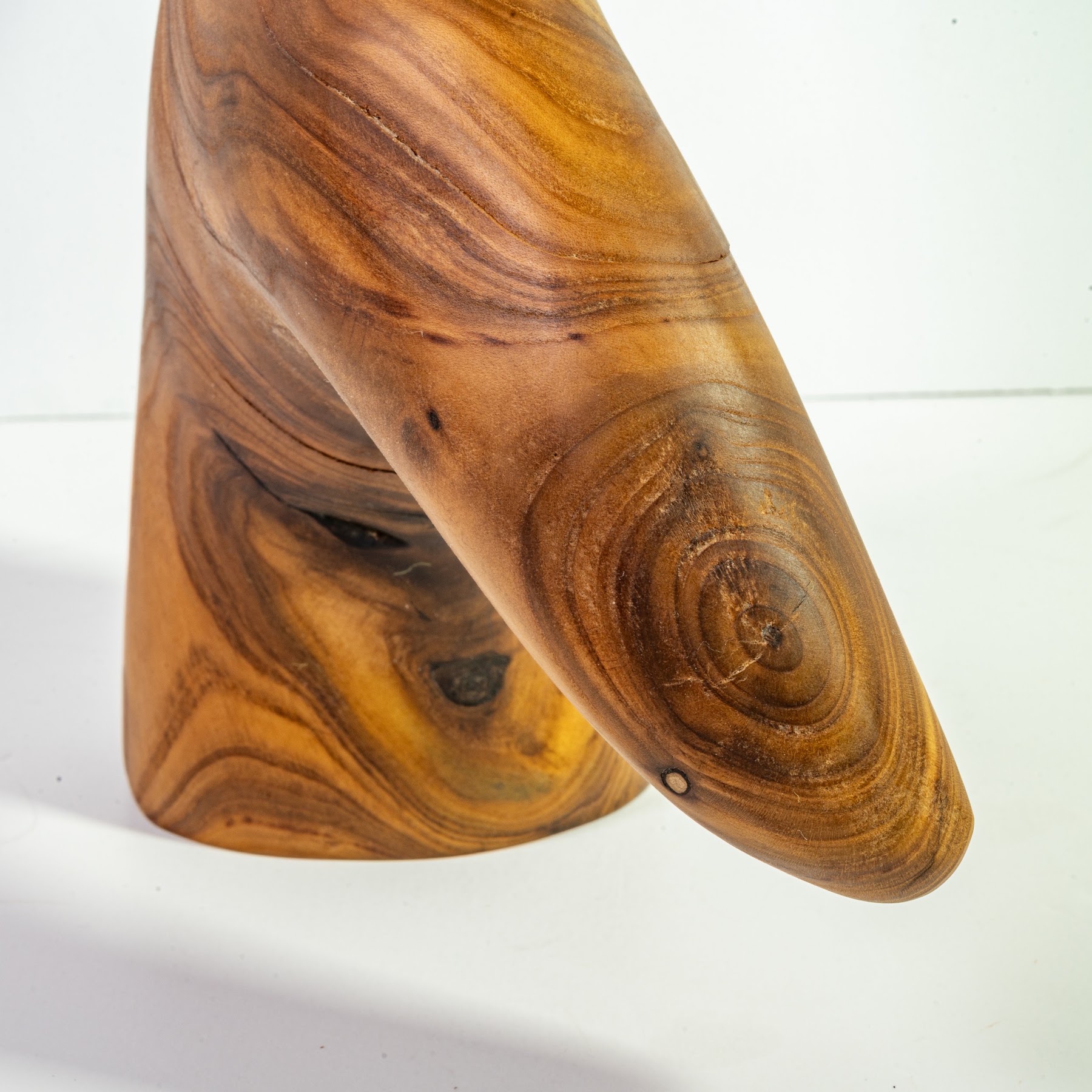 Russian Olive - North End - 12" view 2