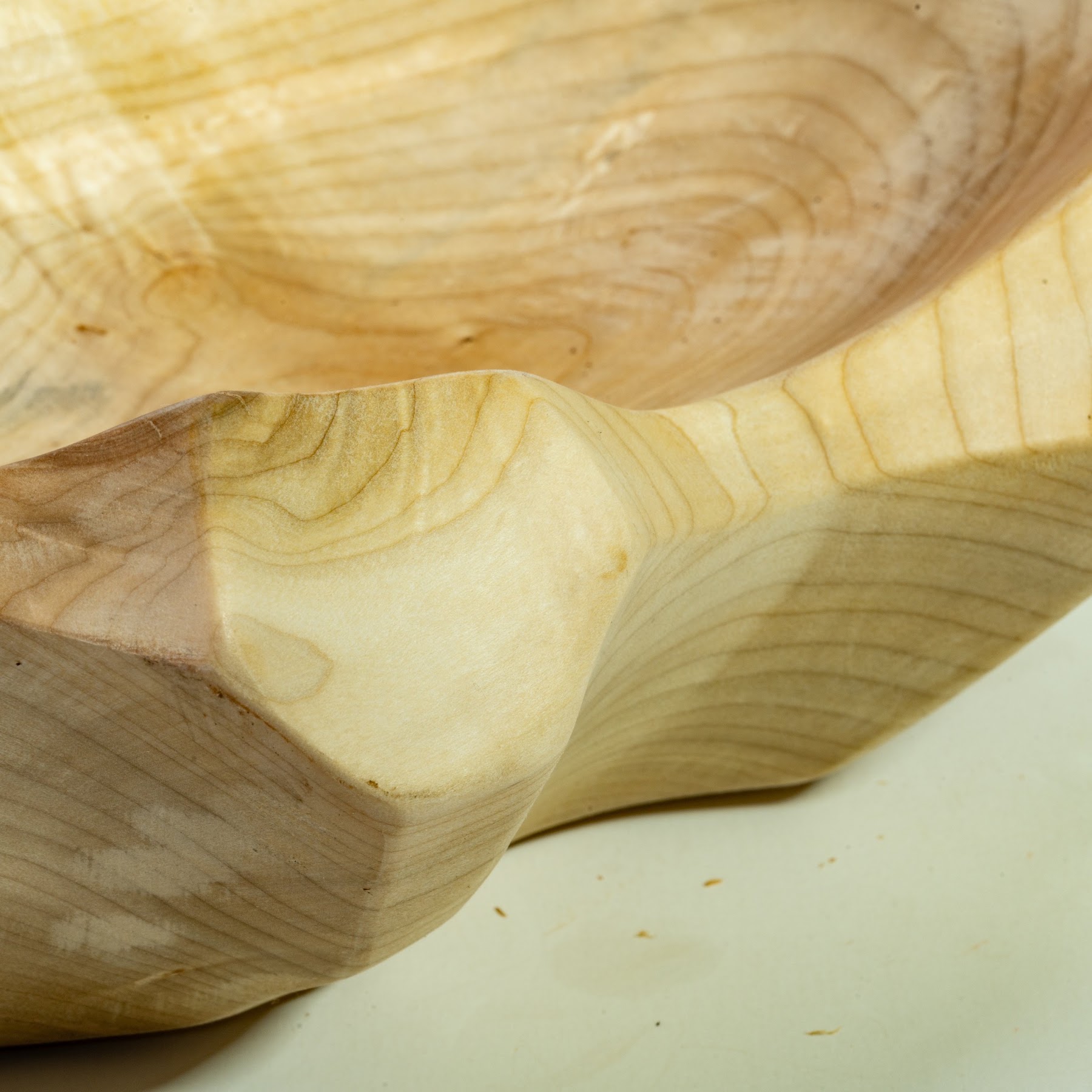 Silver Maple - Tuxedo - 12" view 2