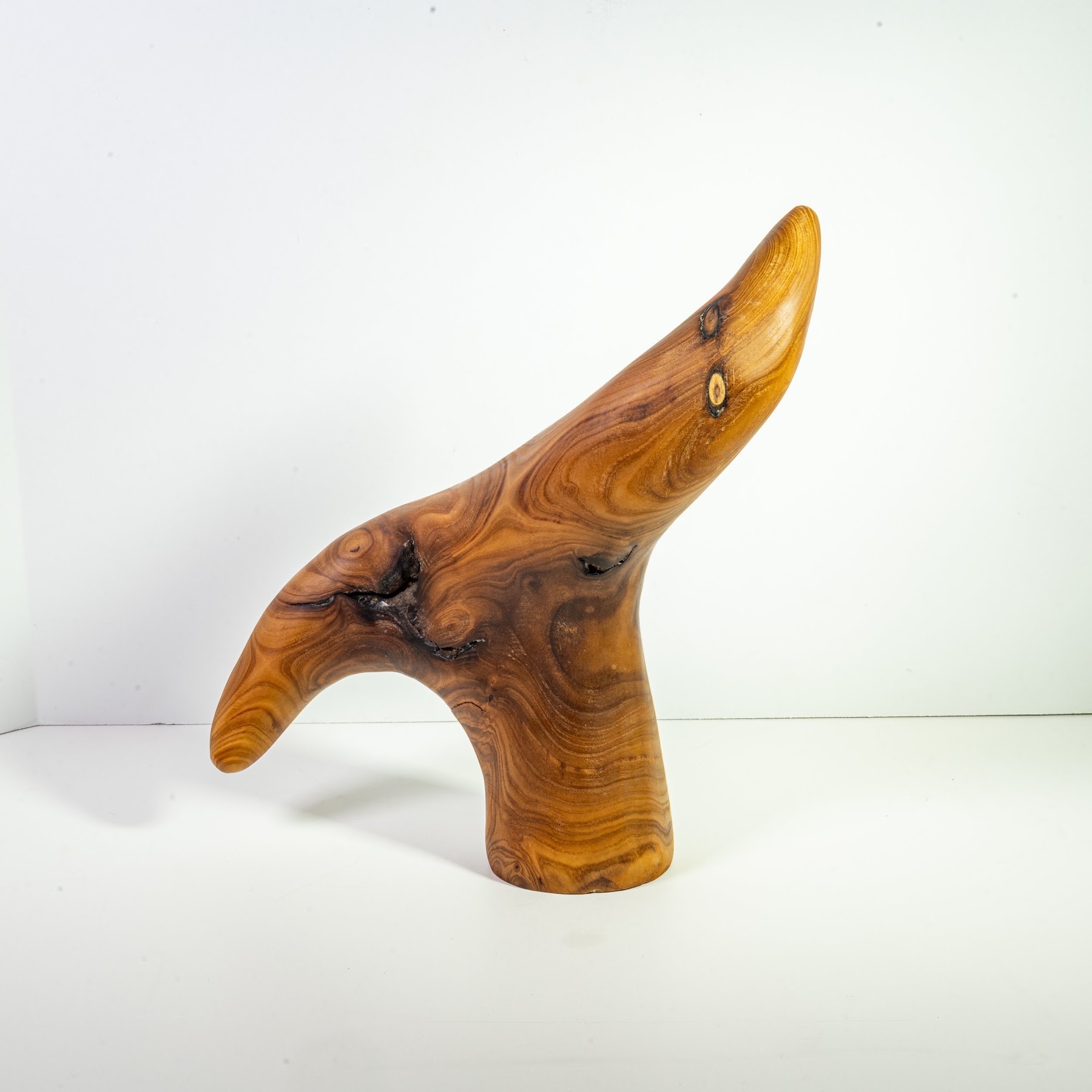 Russian Olive - North End - 12" view 4