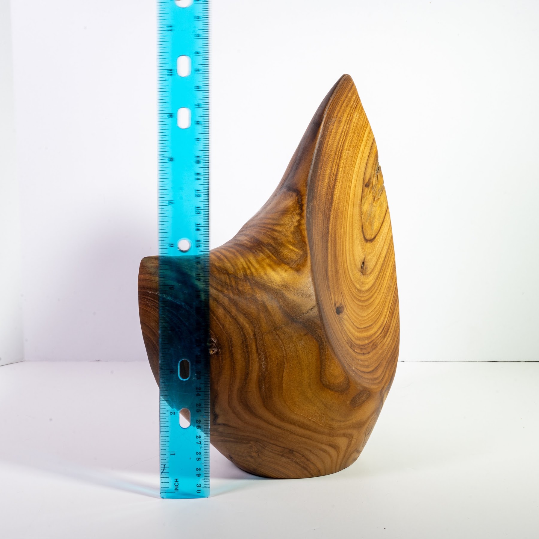 Russian Olive - North End - 14" view 10