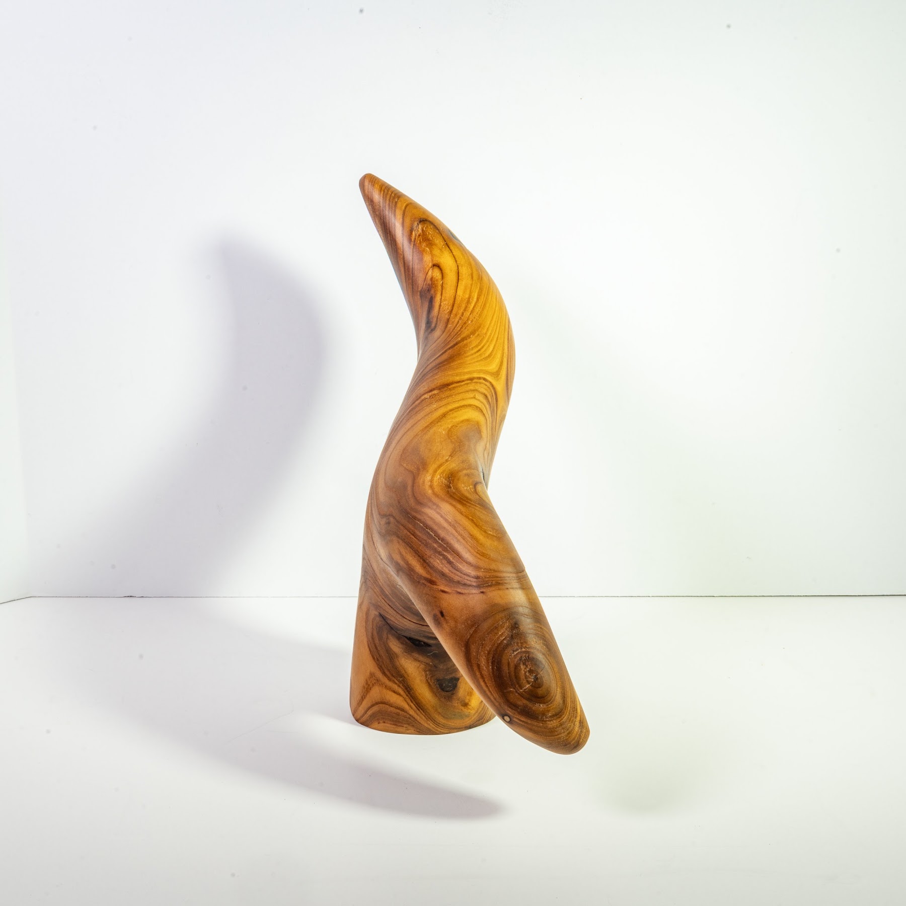 Russian Olive - North End - 12" view 6