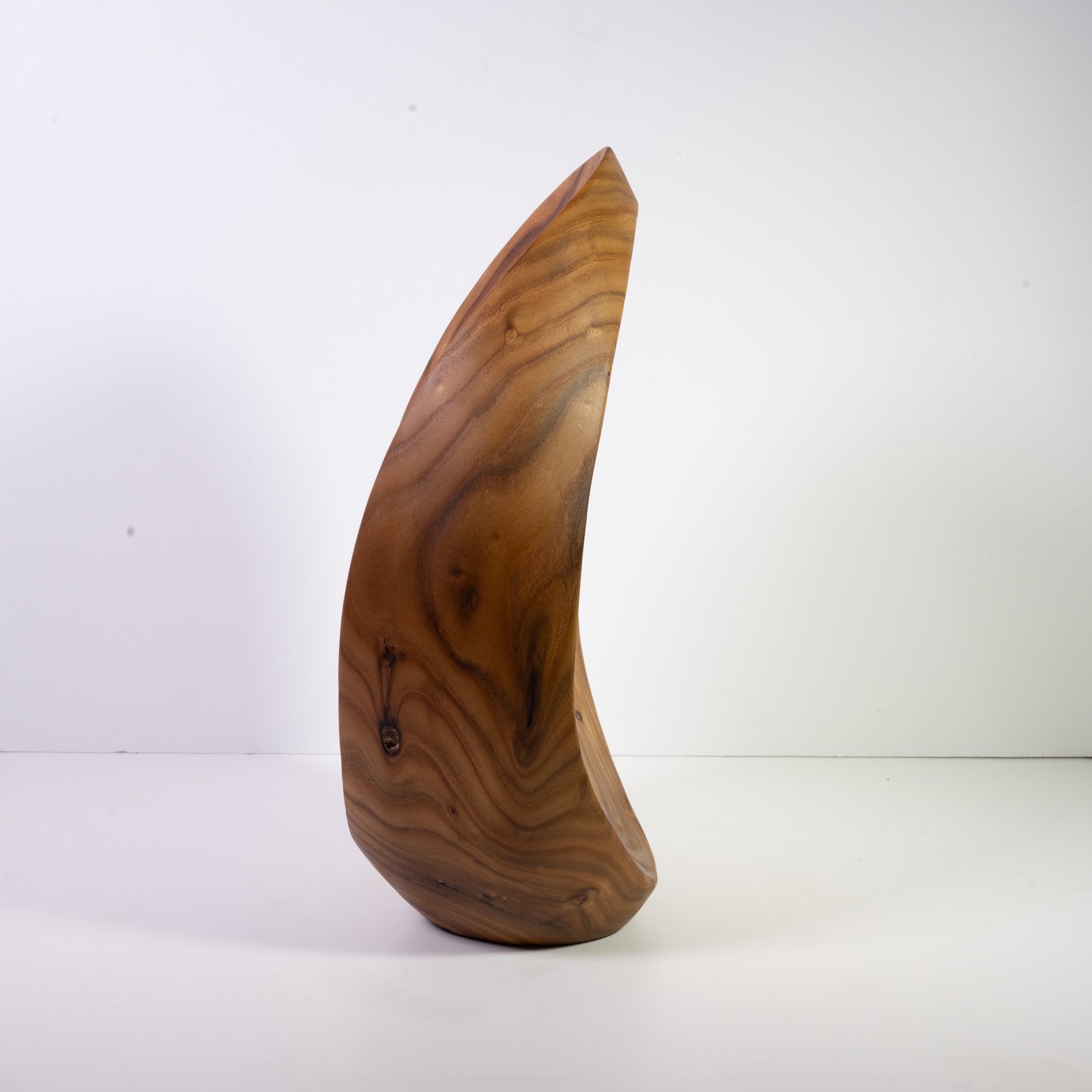 Russian Olive + Brass - Saskatchewan Avenue - 13" view 7