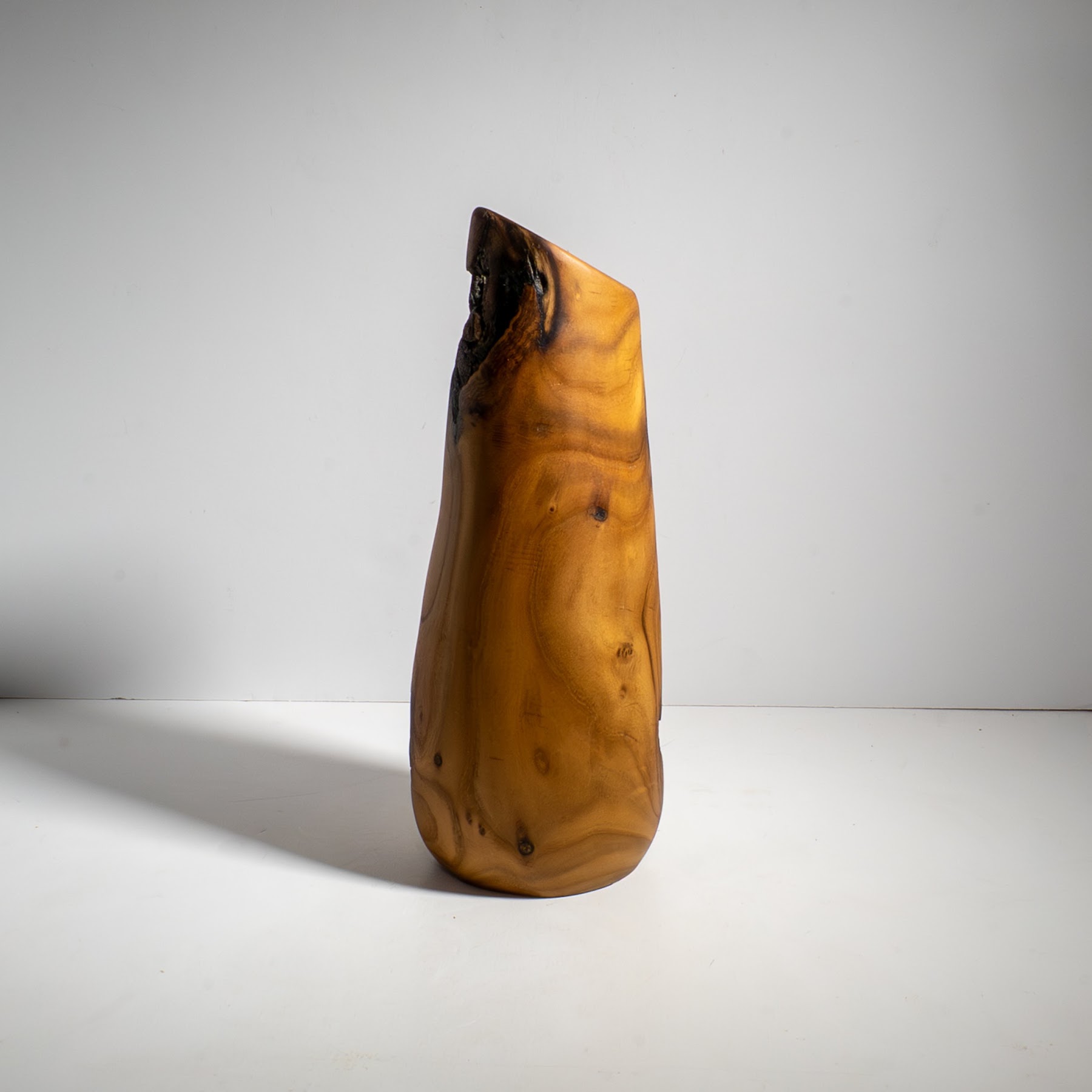 Russian Olive - North End - 12" view 2