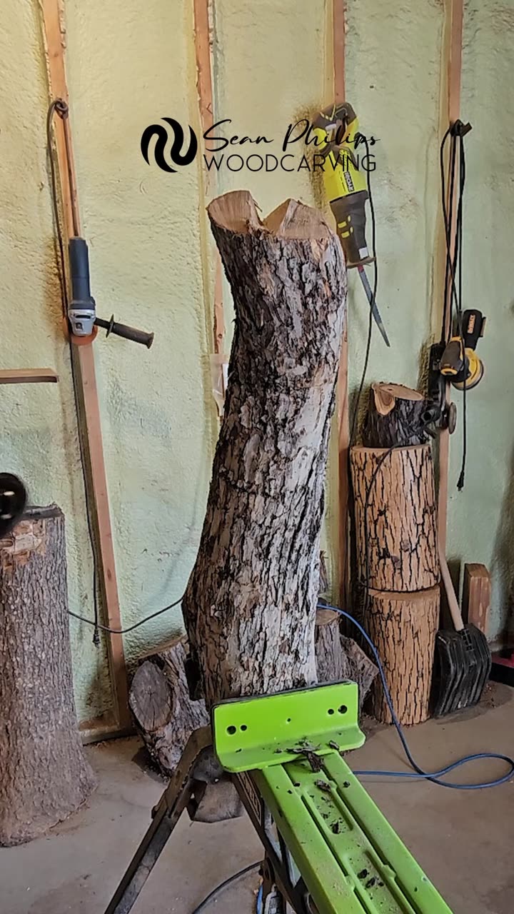 Carving Crab Apple - Grand Pointe - 26"
