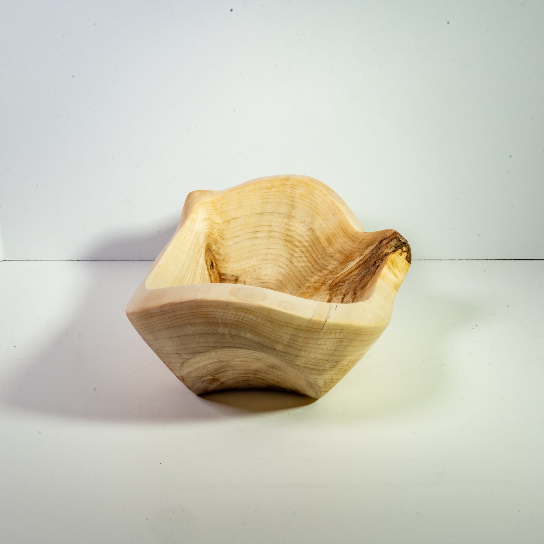 Silver Maple - Tuxedo - 11" view 4