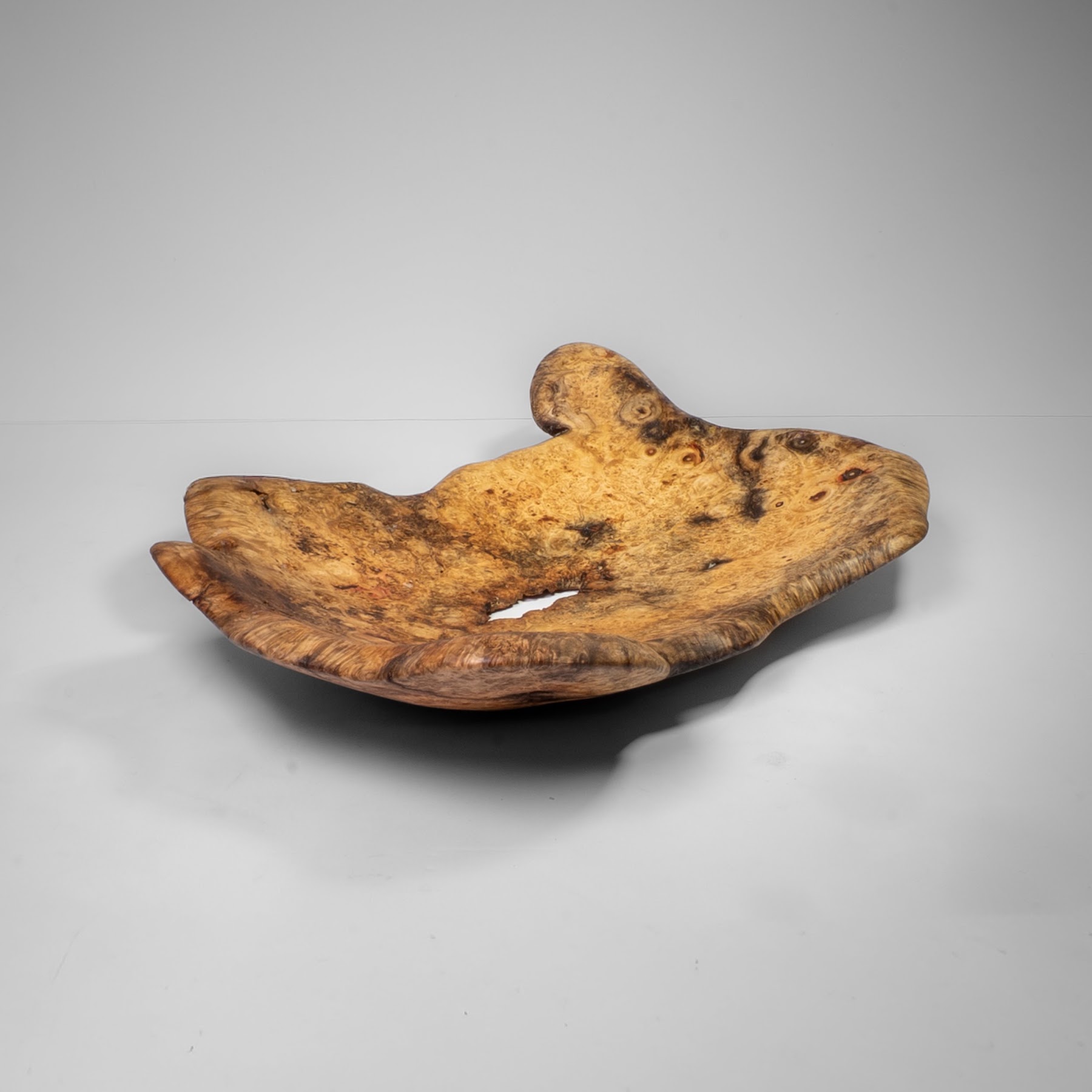 Manitoba Maple Burl - St. Boniface - 15" view 7