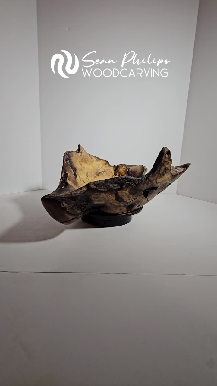 Driftwood Bowl · November 2024