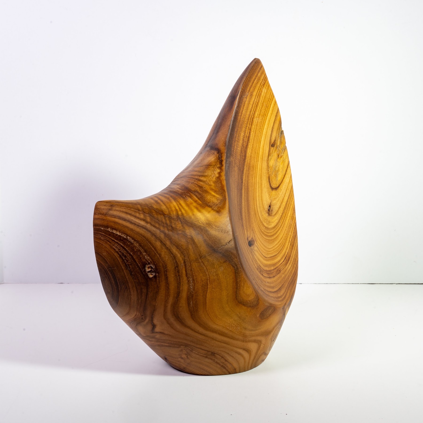 Russian Olive - North End - 14" view 6