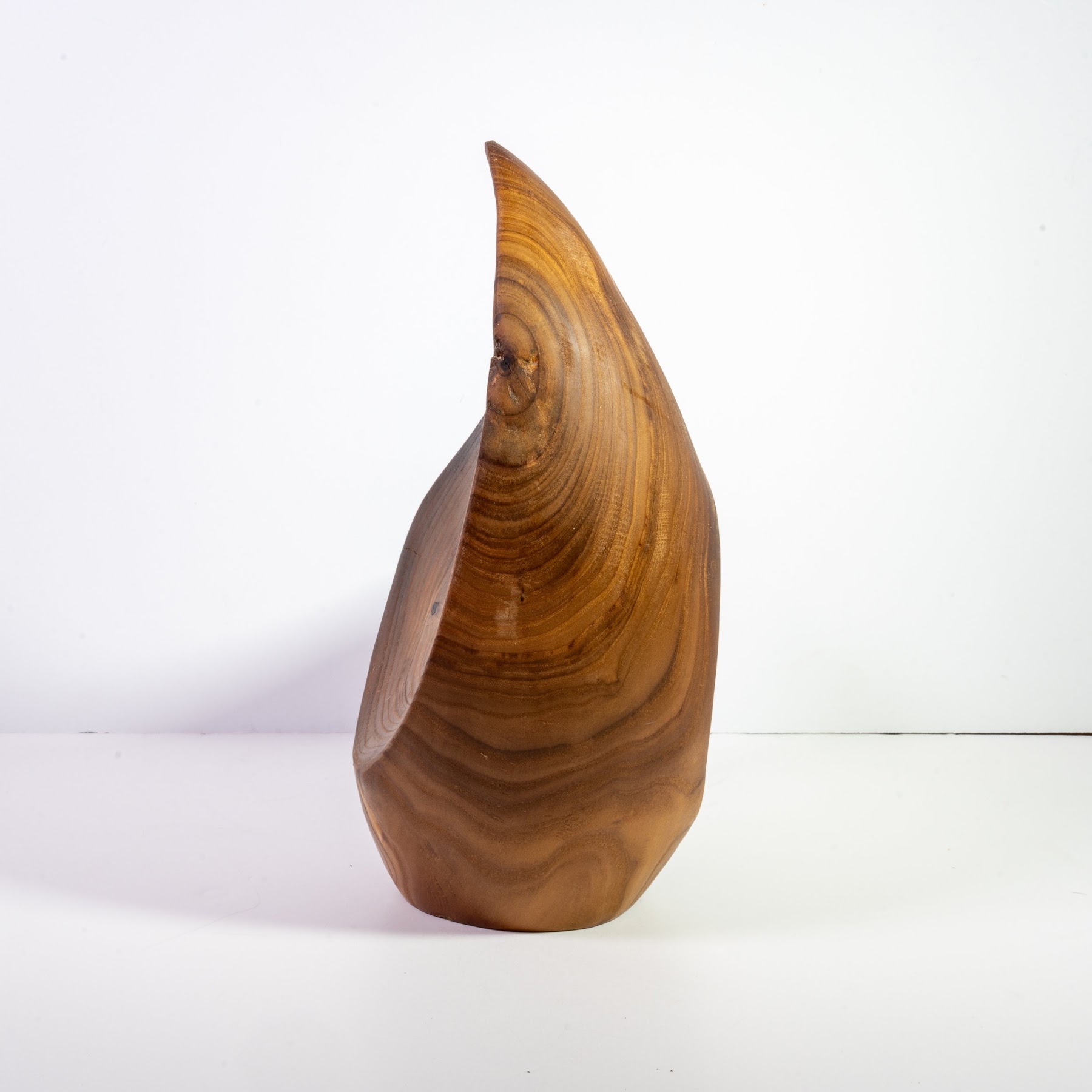 Russian Olive - North End - 14" view 4