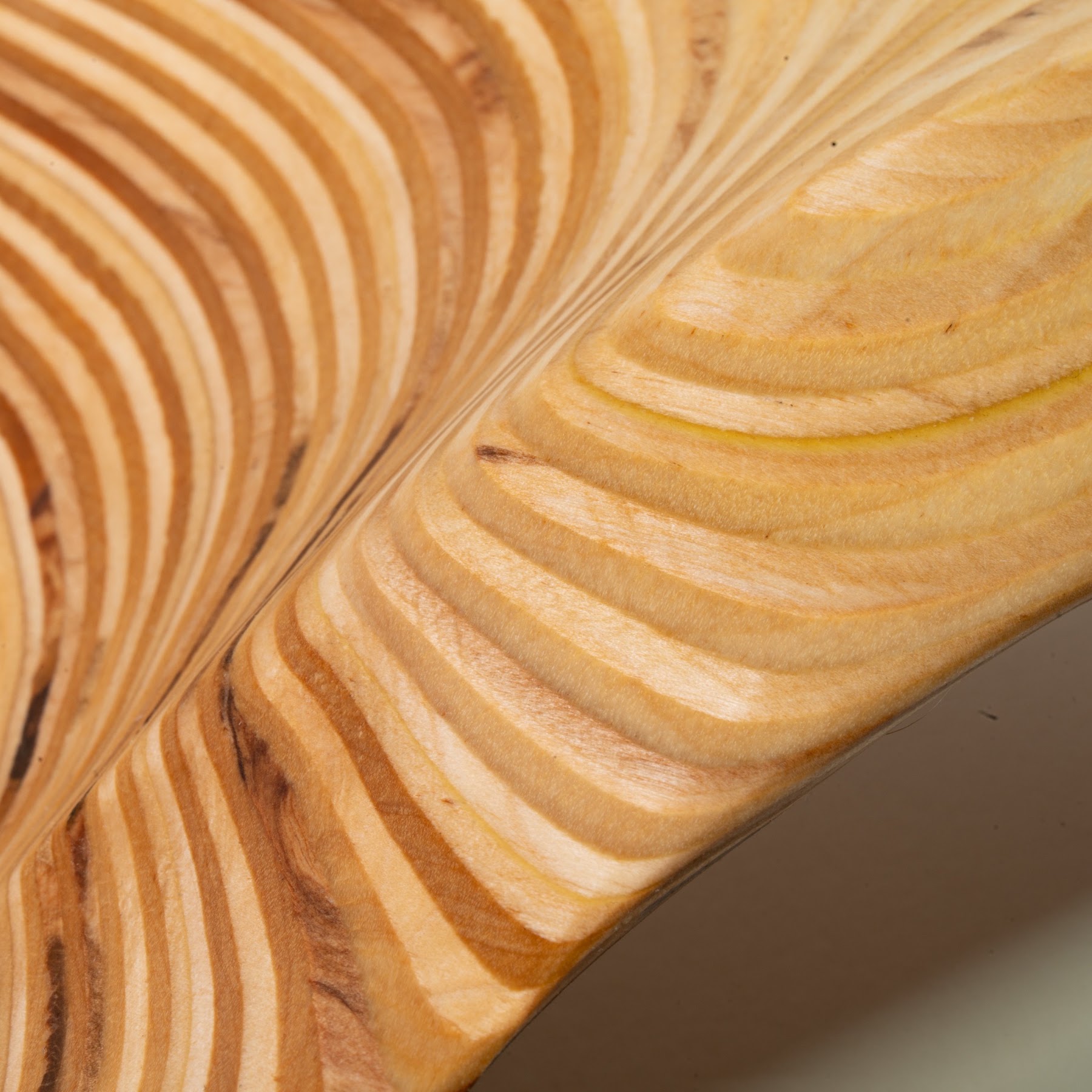 Birch Ply - 24 Inches. view 10