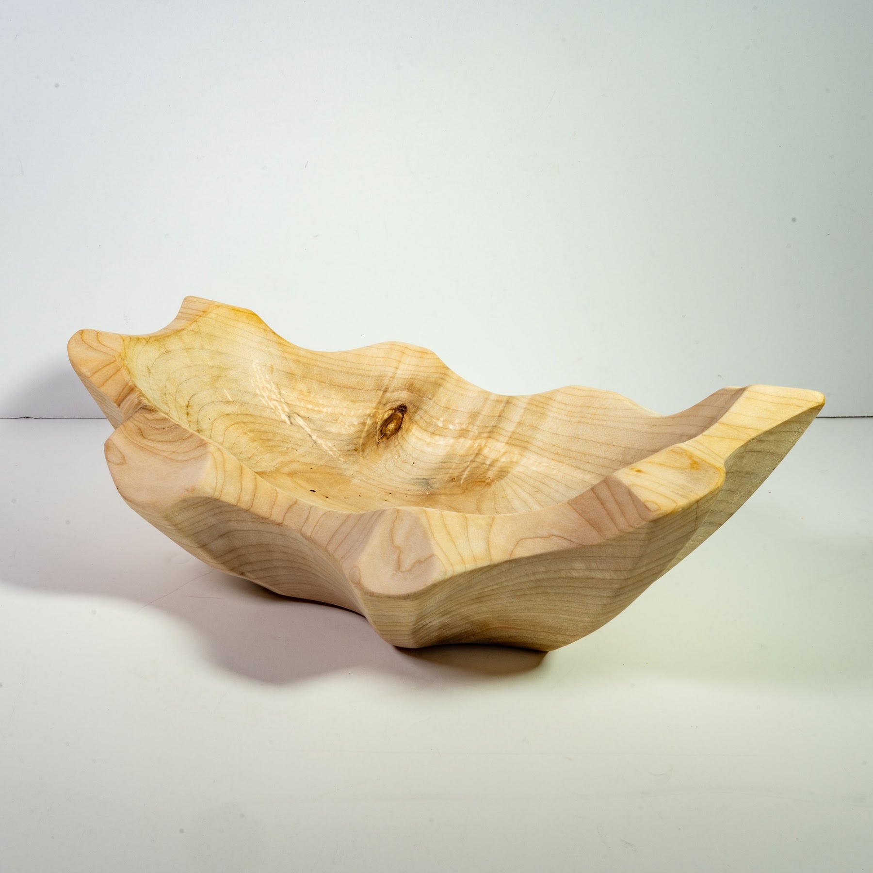 Silver Maple - Tuxedo - 12" view 4