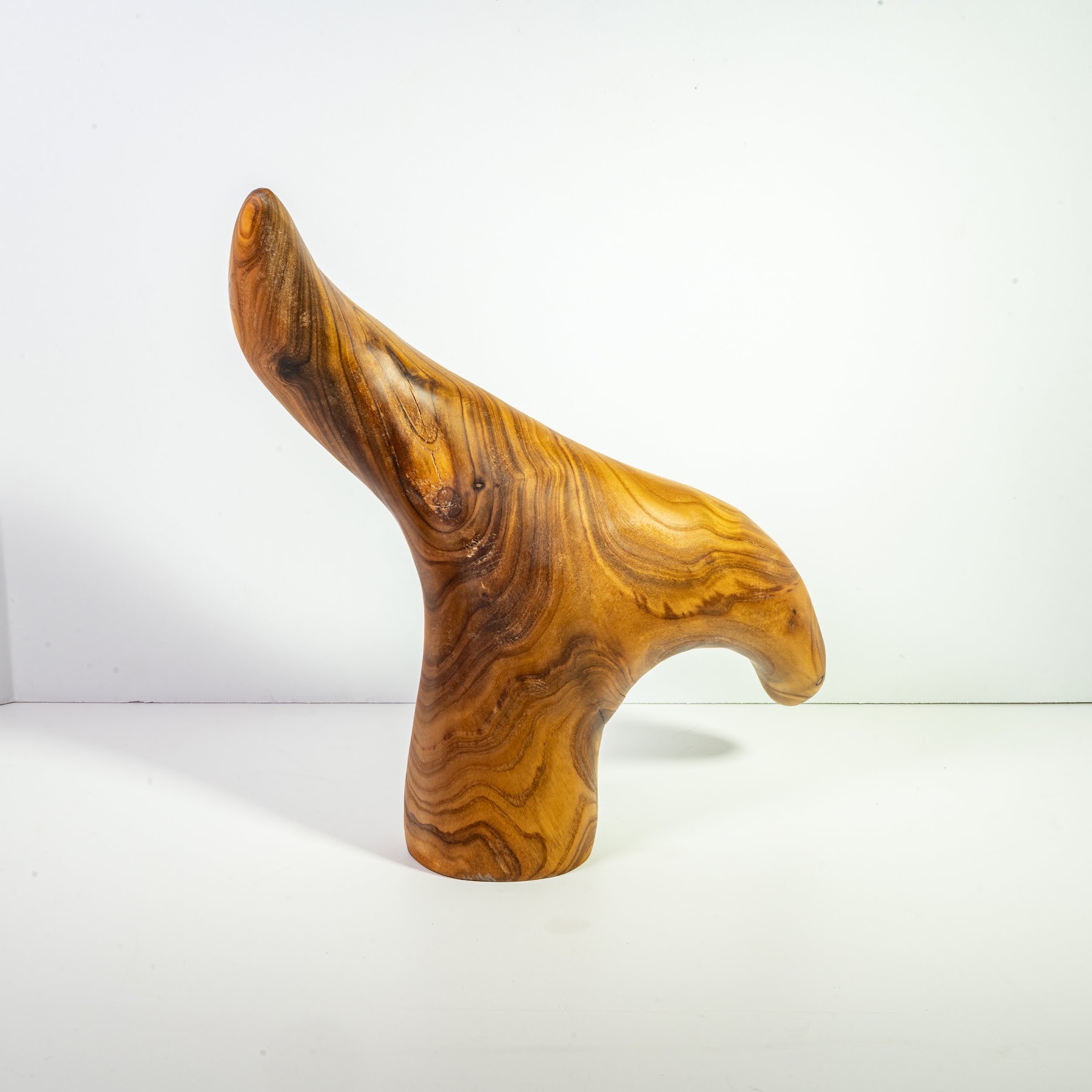 Russian Olive - North End - 12"