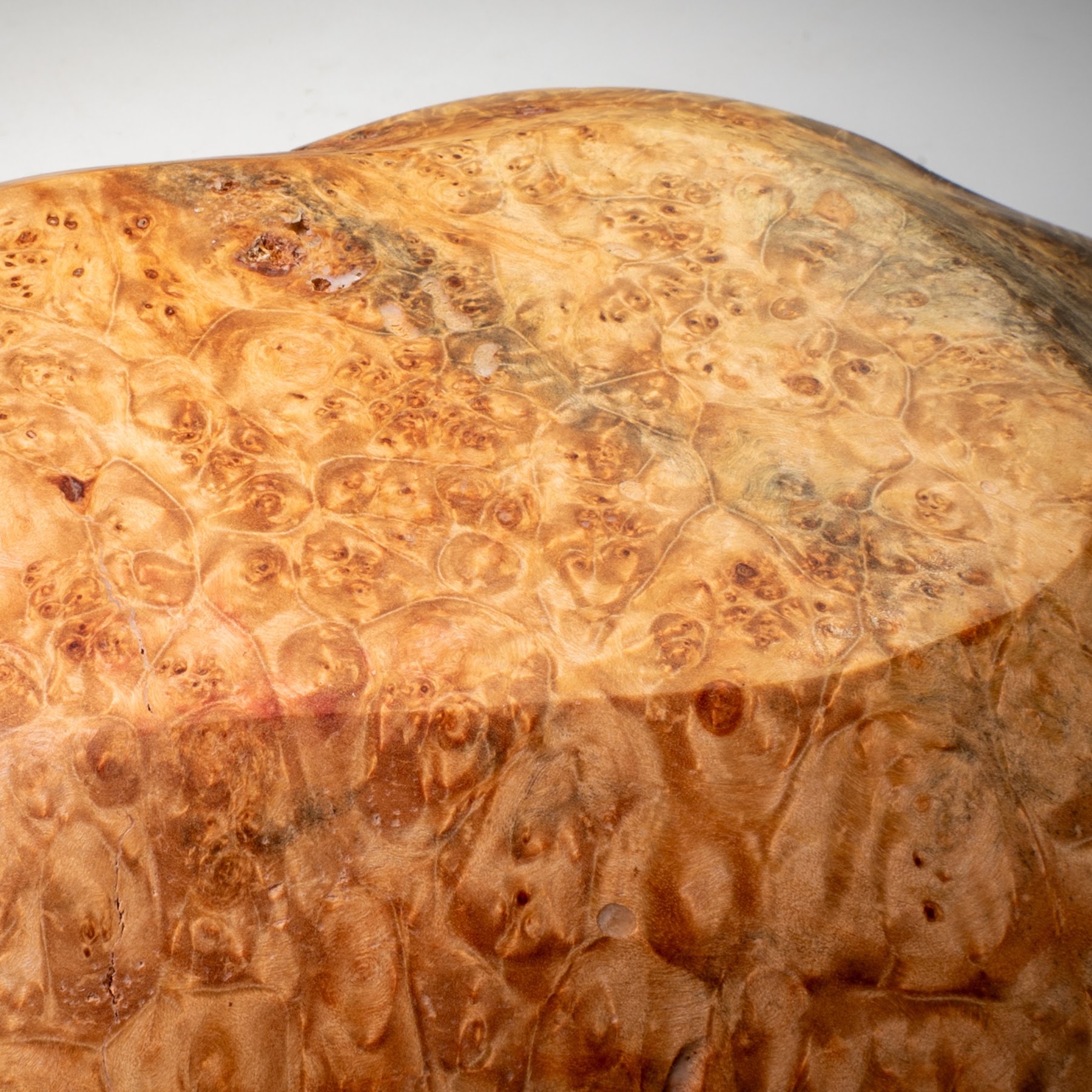 Manitoba Maple Burl - St. Boniface - 15" view 6