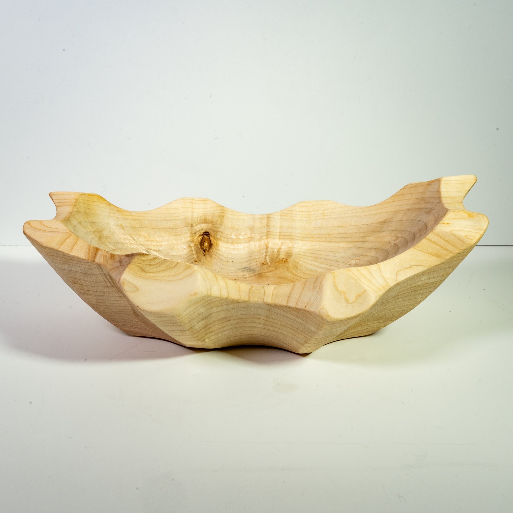 Silver Maple - Tuxedo - 12" view 5