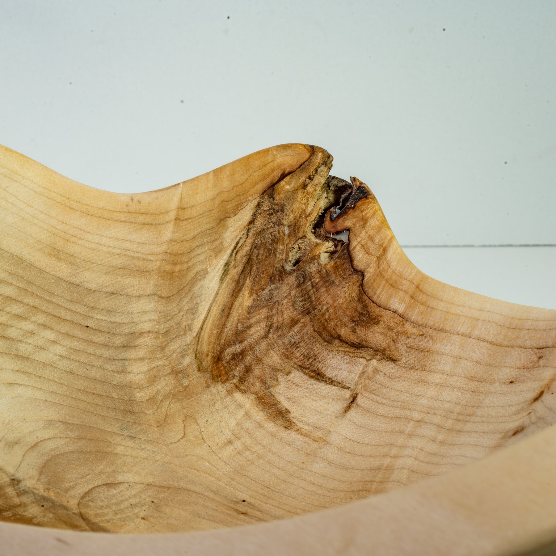 Silver Maple - Tuxedo - 11" view 2