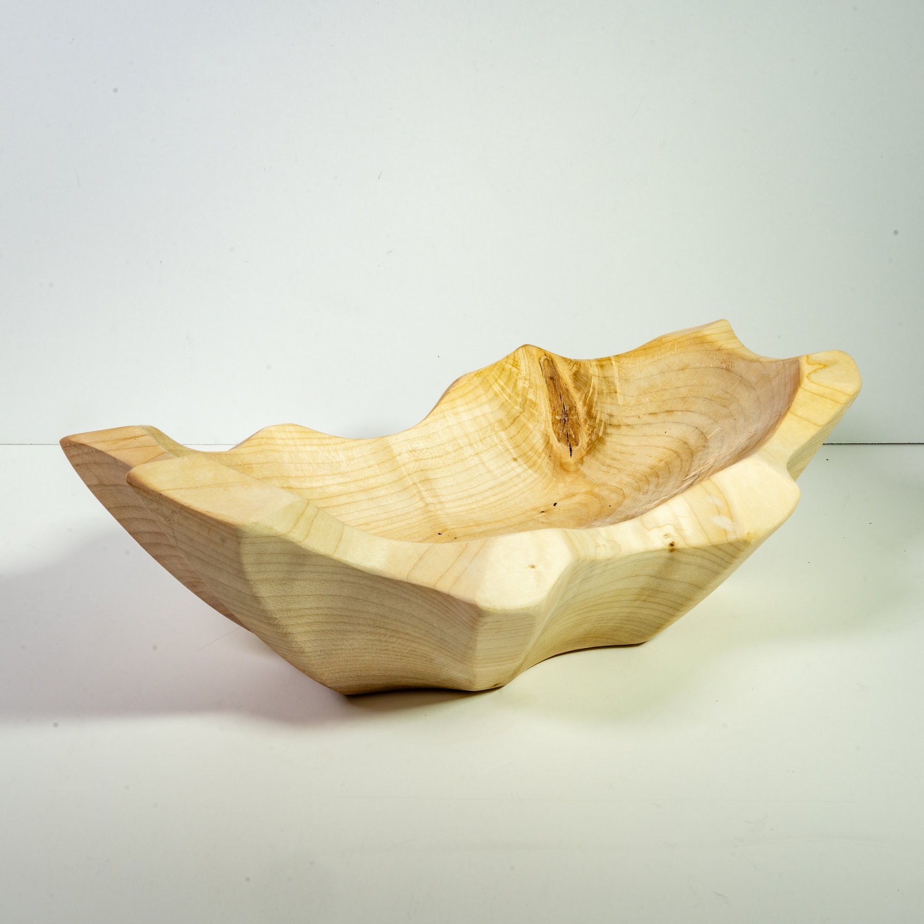Silver Maple - Tuxedo - 12"