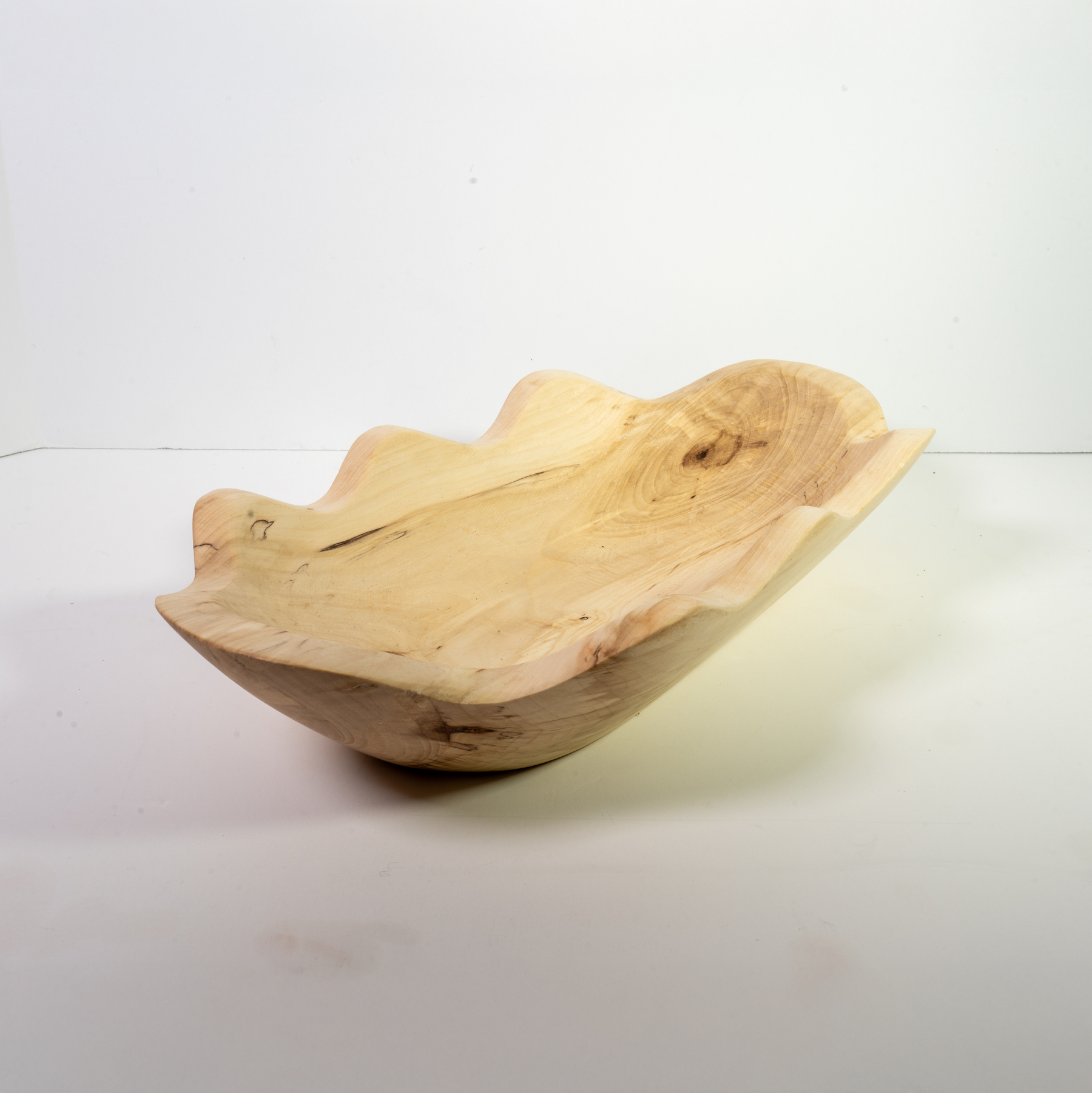Poplar - Tuxedo - 13" view 4