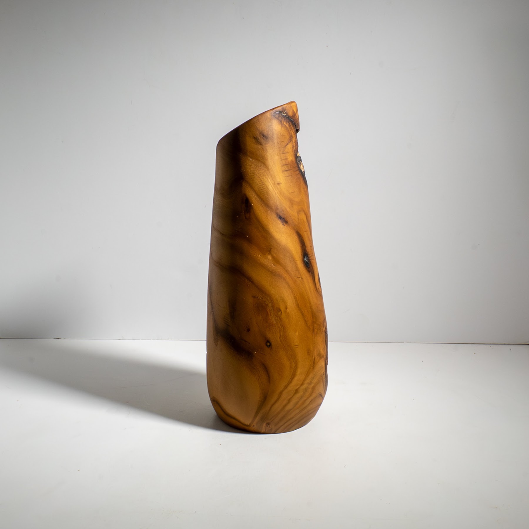 Russian Olive - North End - 12" view 4