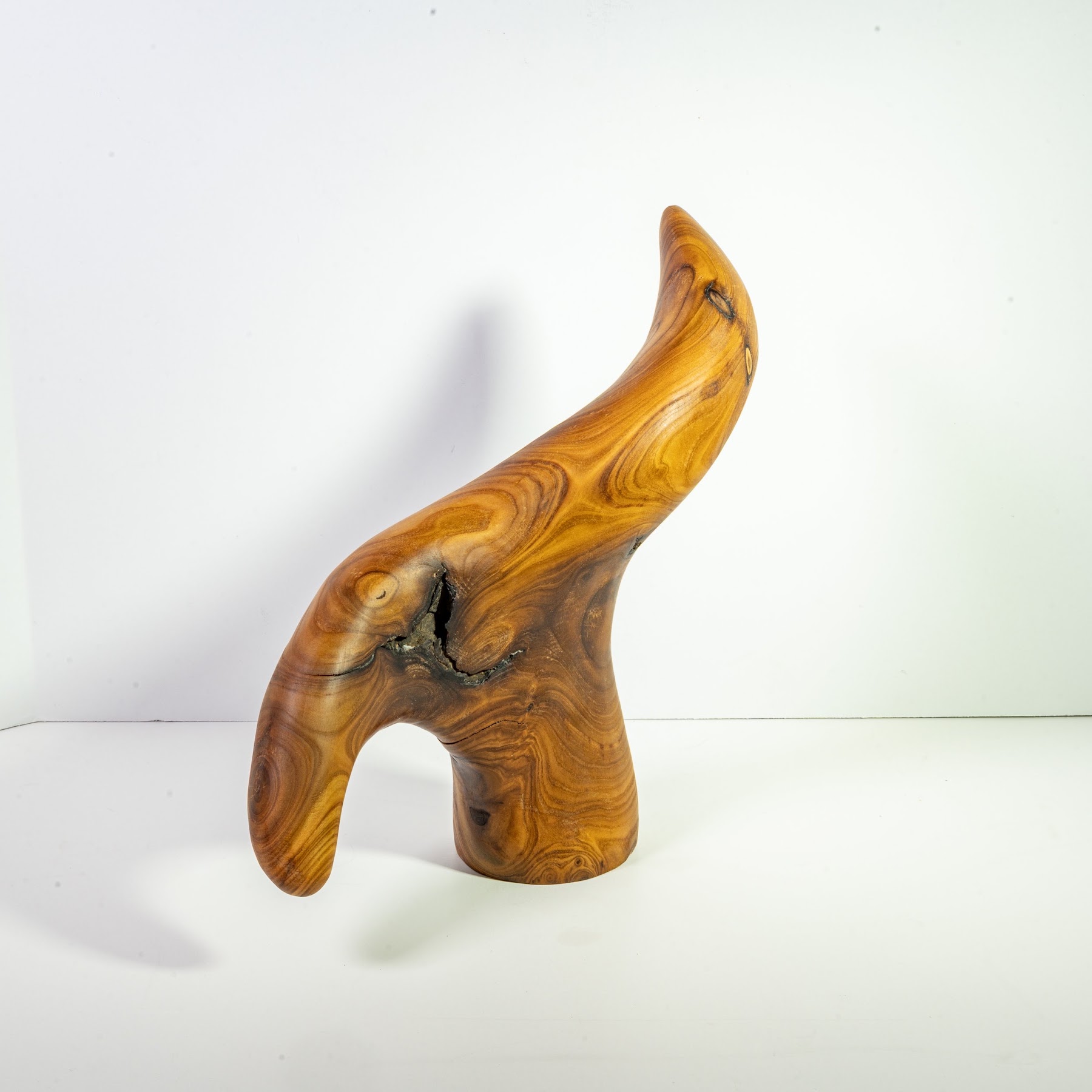 Russian Olive - North End - 12" view 5